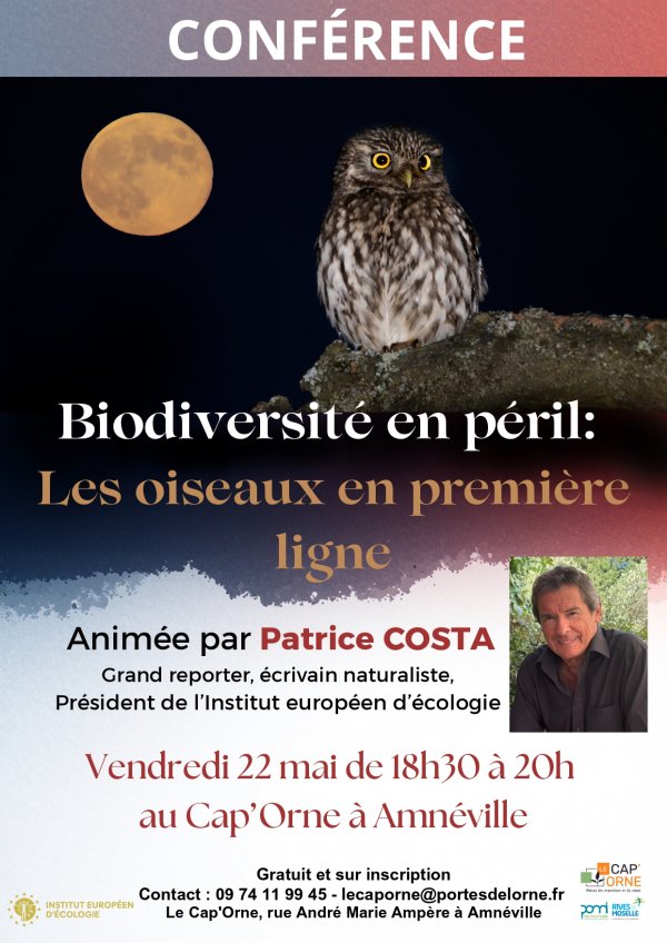 Conférence 22 mai