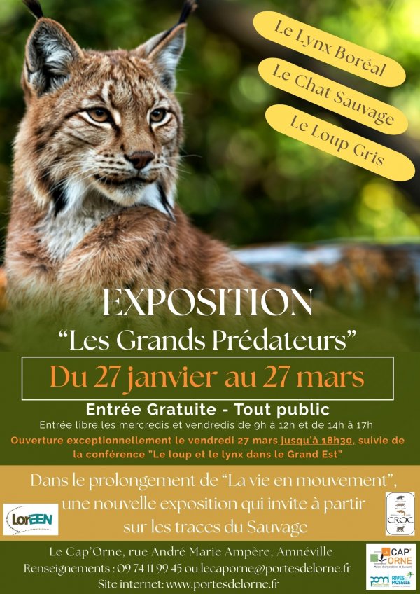 Exposition les grands prédateurs