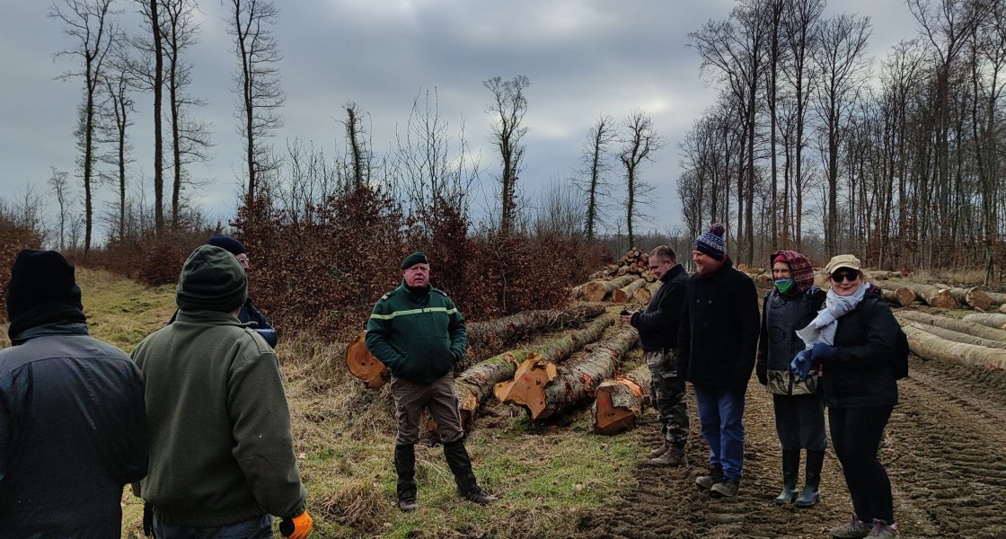 Sortie en forêt « Les précautions à savoir pour les cueillettes en forêt »