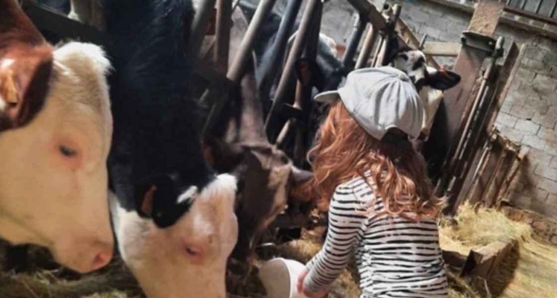 Matinée à la ferme