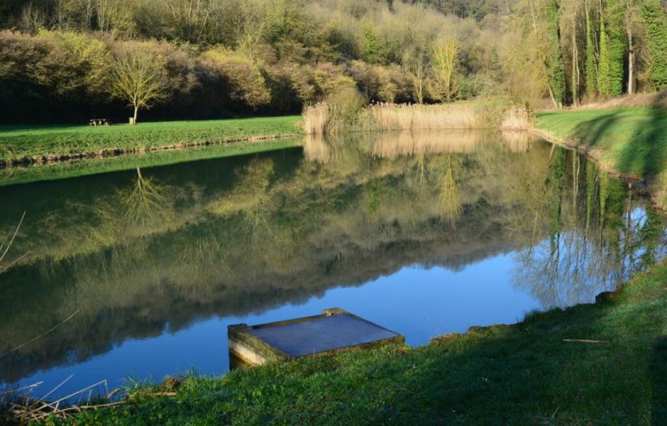 https://www.vitry-sur-orne.fr/letang-du-tivoli/