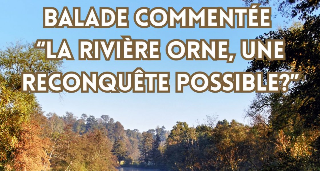Balade commentée le 29 novembre